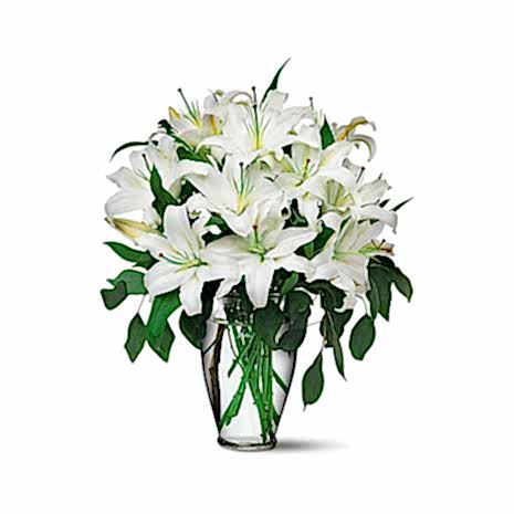 Send 12 Stalks White lilies with Green to Dhaka in Bangladesh