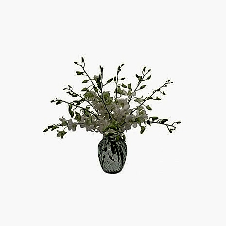 Send All White Dendrobium Orchids to Dhaka in Bangladesh