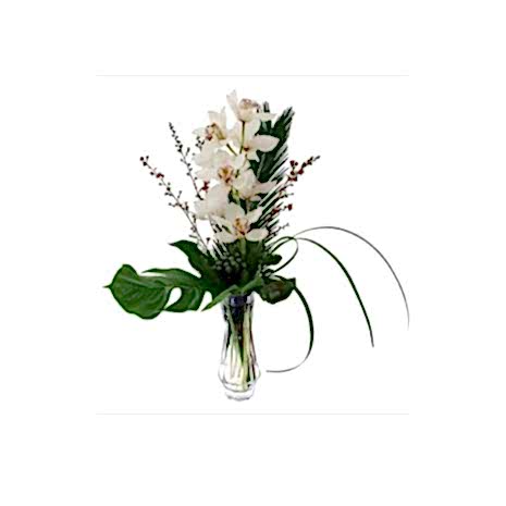Send Cymbidium Orchids to Dhaka in Bangladesh