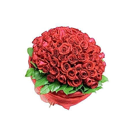 Send 100 Red Roses to Dhaka in Bangladesh