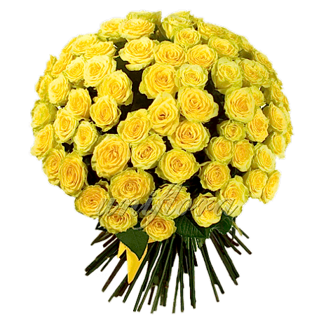 Send 36 Yellow Roses in Bouquet to Dhaka