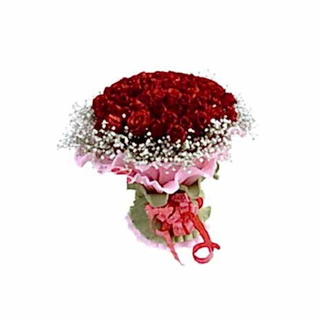 Send 36 Deep Feeling Red Roses to Dhaka