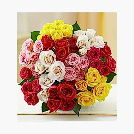 48 Mixed Color Roses Bouquet