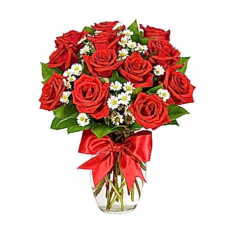 Luxury 12 Red Roses Vase