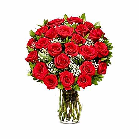 Two Dozen Premium Long Stem Red Roses