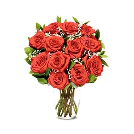 Send One Dozen Premium Long Stem Red Roses to Dhaka in Bangladesh