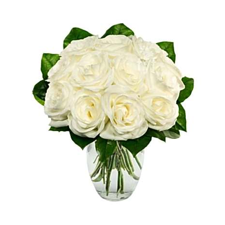 Send One Dozen White Roses to Dhaka in Bangladesh