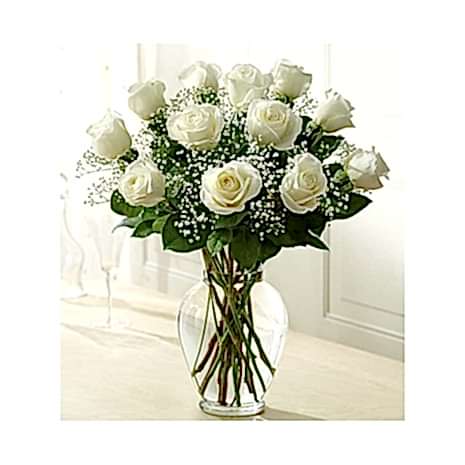12 Long Stem White Roses send to dhaka