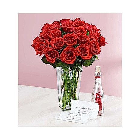 Message in a Bottle with 24 Red Roses send to dhaka, send to bangladesh,
